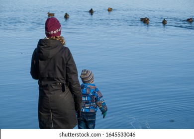 26,590 Mother and child bird Images, Stock Photos & Vectors | Shutterstock