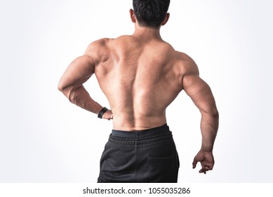 Back Muscles  Erector Spinae