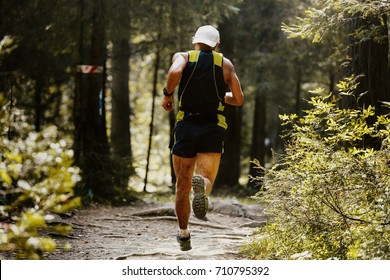 Back Muscular Male Runner Athlete Running Forest Trail