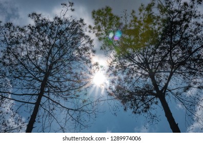 Back to Nature