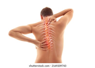 Back Pain, Male Body Torso Back View, Human Spine Illustration