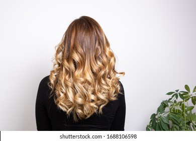 Back part of the hair of a young blond haired woman with balayage effect, isolated on white background. Hair care and nature concept