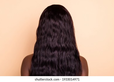 Back photo of natural perfect brunette lady with long silky smooth hairstyle isolated beige background