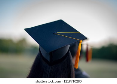 Cap And Gown Images  Free Download on Freepik