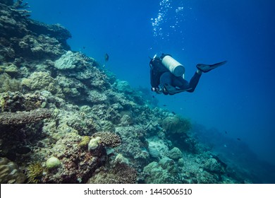 Back Profile Of A Scuba Diver Diving In Coron Palawan