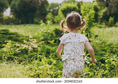 Back rear view little caucasian kid girl 5-6 years old wearing white casual clothes running play on park green sunshine lawn, spending time outdoor in village countyside during summer time vacations. - Shutterstock ID 2034032165