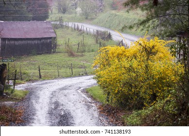 Back Road Blue Ridge Georgia