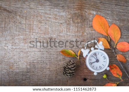 Back to school Alarm clock, leaves and cones, September 1, toned