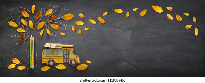 Back to school concept. Top view banner of school bus and pencils next to tree sketch with autumn dry leaves over classroom blackboard background