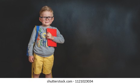 Back to school. Funny little boy in glasses with backpack and book against blackboard. Child from elementary school. Education. - Shutterstock ID 1121023034
