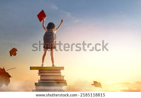 Back to school! Happy cute industrious child standing on the tower of books on background of sunset sky. Concept of education and reading. The development of the imagination.