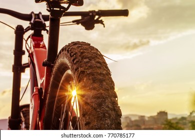 Back shot of mountain bike on sunset . Rear wheel. Mountain bike tire. Tires 27,5 inch MTB Bicycle component.  - Shutterstock ID 770785177