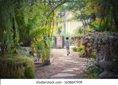 Back Shot Photo Of Little Kid Running On Narrow Path Inside Green Garden Alone