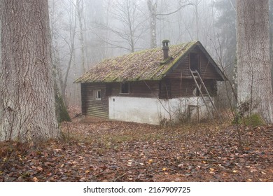 Back side of abandoned cabin in the trees in the Palatinate forest of Germany on a foggy fall day.