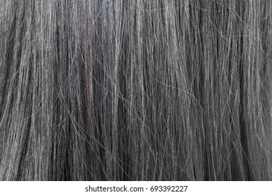 Back Side Of Asian Woman' Black Hair - Background