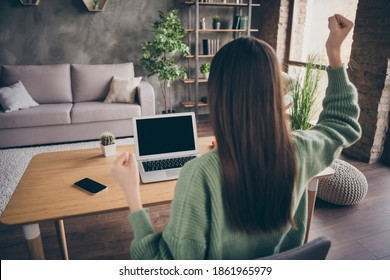 Back Side Photo Of Hooray Girl Work From Home Hand Fists Look Laptop Wear Green Shirt Indoors