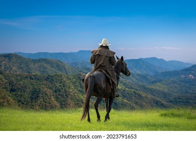 Back side view cowboy riding on horseback ,he wearing western dresser style and hat on summer with green mountain and blue sky background.  