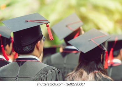Back Side View Group Higher Education Stock Photo (Edit Now) 1602720007