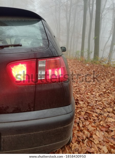 back and stop light on the car on the road in a\
foggy autumn forest