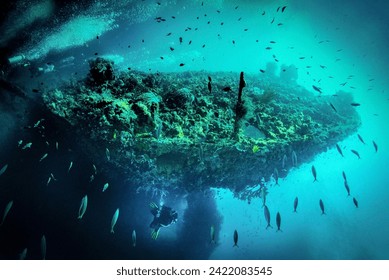 Back of sugar wreck, Perhentian islands, Malaysia with propellor, amazing visibility