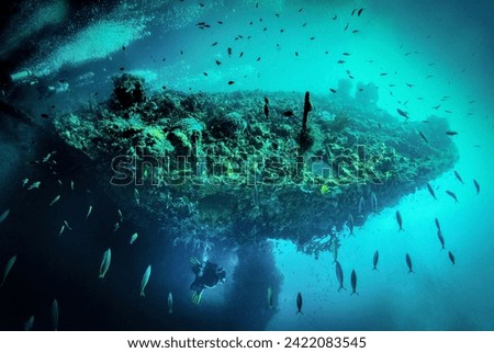 Back of sugar wreck, Perhentian islands, Malaysia with propellor, amazing visibility