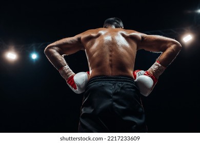 Back Of A Sweaty Boxer In The Ring 