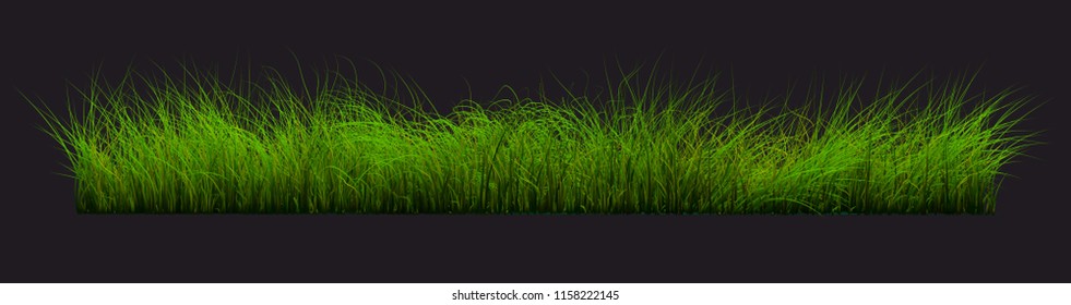 Back Transparent Green Grass Floor