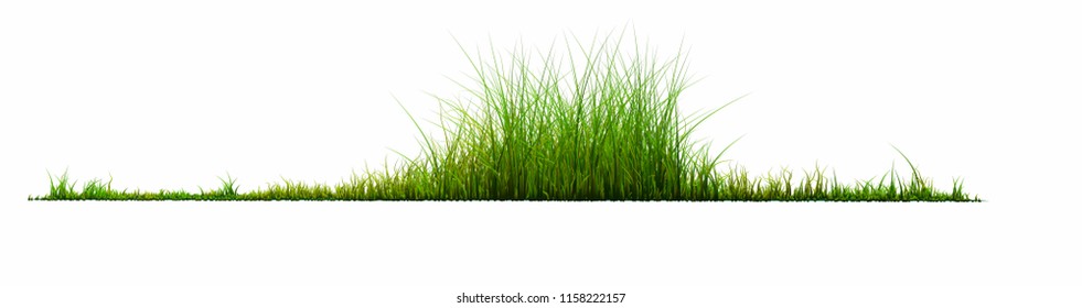 Back Transparent Green Grass Floor