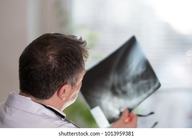 Back Turned Concentrated Radiologist Reading X-ray Images