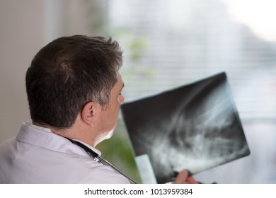 Back Turned Concentrated Radiologist Reading X-ray Images