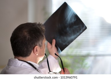 Back Turned Concentrated Radiologist Reading X-ray Images