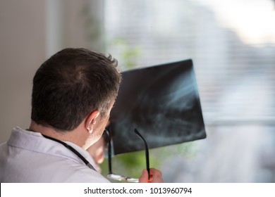 Back Turned Concentrated Radiologist Reading X-ray Images