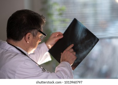 Back Turned Concentrated Radiologist Reading X-ray Images