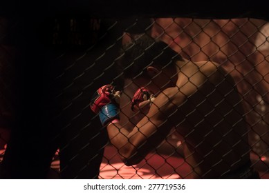 Back View Action Of Fighter Fist In Cage