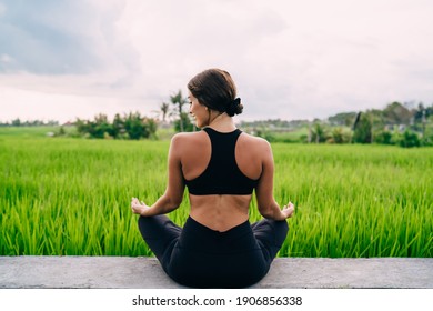 Back View Of Active Female Dressed In Black Sportswear Sitting In Lotus Pose Near Indonesian Rice Fields And Getting Inspiration From Nature, Healthy Woman Recreating During Hatha Yoga Training