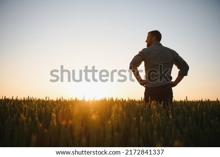 Back view of adult man farmer stand alone and look at sunset or sunrise in sky. Guy stand on wheat field. Ripe harvest time. Sun shines in sky.