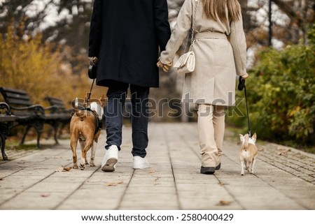 Back view of affectionate couple holding hands and walking with their friends dogs in public park.
