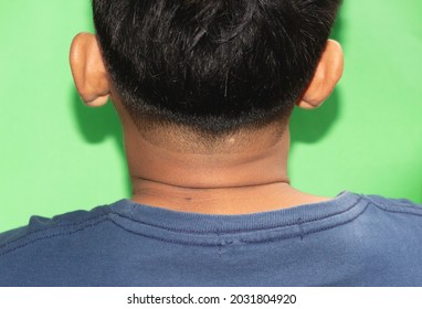 Back View Of Asian Male Haircut Model Isolated On Green Background.