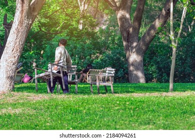 Back view of Asian male waiter prepare chairs for customers to sit and relax in the garden. Summer vacation in green surroundings. Happy outdoors relaxing on chair in garden. Outdoor leisure.