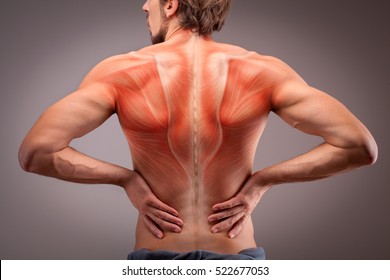 Back view of athlete man torso with muscle structure