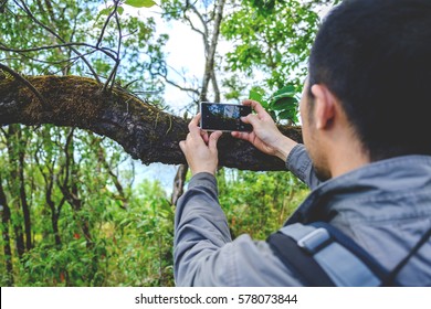 Back view of bearded man is taking photo with cell telephone camera, while is standing on mountain with subtropical forest. Young hipster guy is shooting video on smart phone of a amazing wild nature