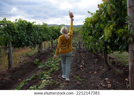 back view of a  beautiful middle aged woman looks at the expanses with a beatiful view of vineyards and mountain, senior dressed boho style and walks around a fiels with a vine