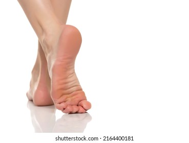 Back View Of A Beautifully Cared Female Bare Feet On A White Background.