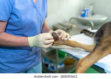 Back View Big Tumor On Leg Stock Photo 1820355611 | Shutterstock