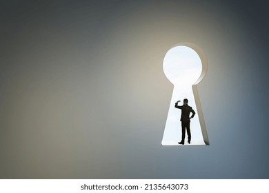 Back View Of Business Man Standing In Abstract Key Hole Opening In Concrete Wall With Mock Up Place. Solution And Success Concept