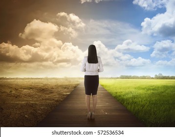 Back View Of Business Woman Standing Between The Changing Environment. Concept Of Climate Change.