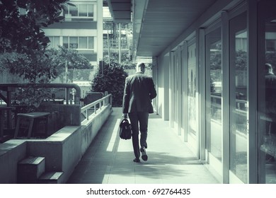 back view of businessman on the road, cold tone image of walking man with bag