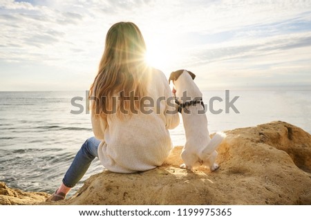 Back view to camels and dog sitting on a rock by the sea and watching sunrise or sunset