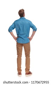 back view of a casual man with hands on waist standing and looking up on white background
