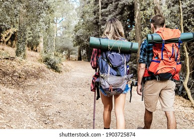 Back View Of Couple Going Along Road In Forest. Long-haired Woman And Man Carrying Backpacks And Hiking On Nature Together. Green Trees On Background. Tourism, Adventure And Summer Vacation Concept